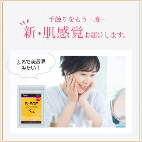 Alphay 天然 ツバメの巣 サプリ 60粒 無添加 つばめの巣 燕の巣 シアル