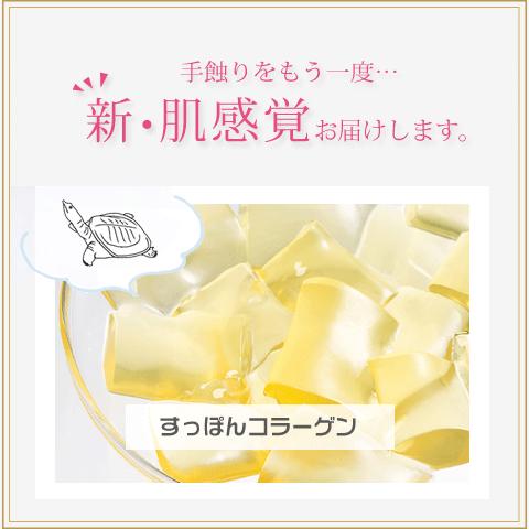 Alphay 天然 ツバメの巣 サプリ 60粒 無添加 つばめの巣 燕の巣 シアル