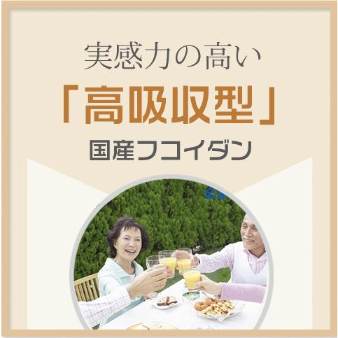 沖縄モズク由来 フコイダンエキス原末 120粒入り(60日分) フコイダン抽出物 フコイダン サプリメント 日本製 無添加 無著色 | Alphay | 01