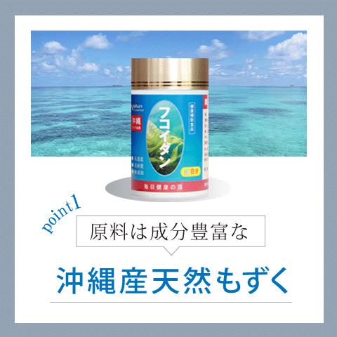 フコイダン 20粒 沖縄産もずく100% フコイダンサプリ 国産 無添加 無着色 | Alphay | 05