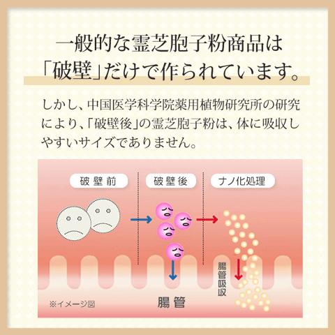 日本の最新技術で実現した≪破壁霊芝胞子粉≫　3本セット　国際博覧会品質大賞獲得!!｜alphay3939｜10