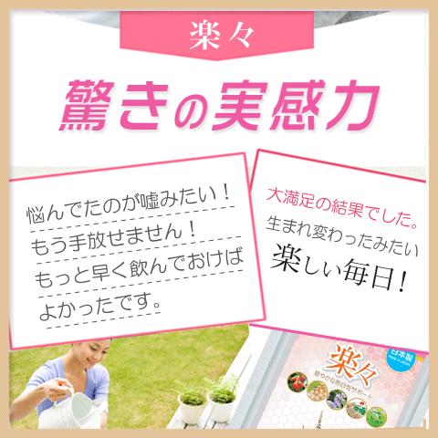 PMDD 和漢の力で月の不安から開放！30日分 エクオール チェストツリー 田七人参 プラセンタ 鉄分 生理前症候群 更年期 PMS ストレスケア｜alphay3939｜04