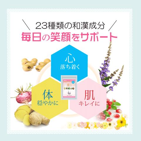 和漢の力で月の不安から開放 30日分 女性ホルモン 生理不順 Pms 生理前症候群 更年期 無添加 無着色 Pms 005 健康サプリ 通販 Yahoo ショッピング
