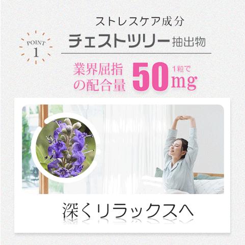 エクオール サプリ 和漢の力で月の不安から開放！ 楽々 お得な３袋セット チェストツリー 米糠・大豆エキス納豆菌発酵物 GABA 田七人参 鉄分 生理不順 pms pmdd