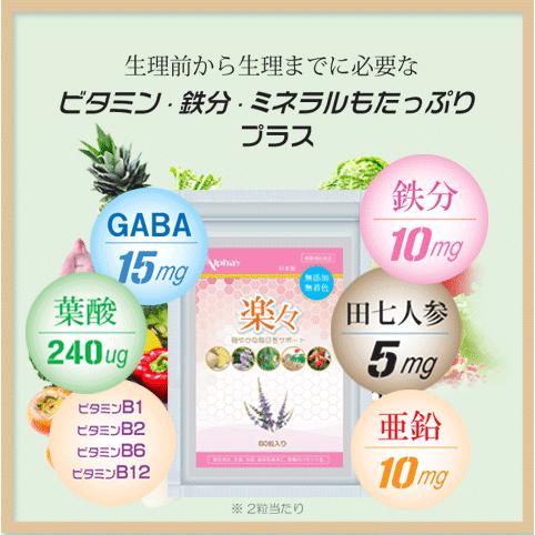 エクオール サプリ 和漢の力で月の不安から開放！ 楽々 お得な３袋セット チェストツリー 米糠・大豆エキス納豆菌発酵物 GABA 田七人参 鉄分 生理不順 pms pmdd