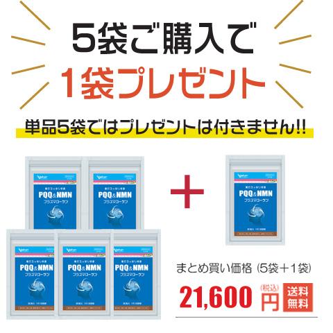 高純度プラズマローゲン30,000ug ＋ PQQ750mg 国産 無添加 うっかり 物忘れ対策 記憶力 発達障害 GABA DHA EPA イチョウ葉 サプリ｜alphay3939｜14