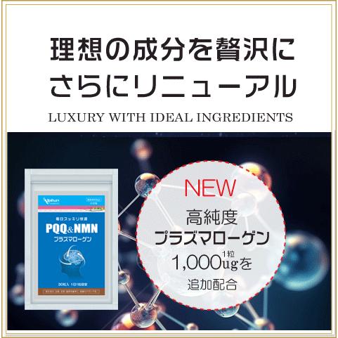 Alphay 高純度プラズマローゲンサプリ 30日分 PQQ750mg プラズマ