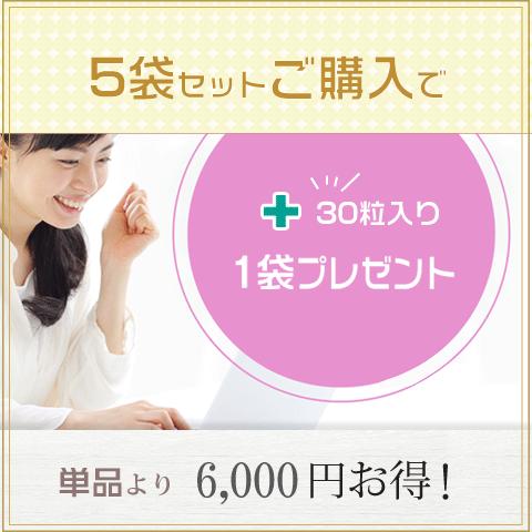 PQQ＋プラズマローゲン ２袋セット 日本製 無添加 PQQ プラズマローゲン GABA DHA EPA イチョウ葉 サプリ