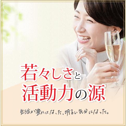 PQQ＋プラズマローゲン ２袋セット 日本製 無添加 PQQ プラズマローゲン GABA DHA EPA イチョウ葉 サプリ