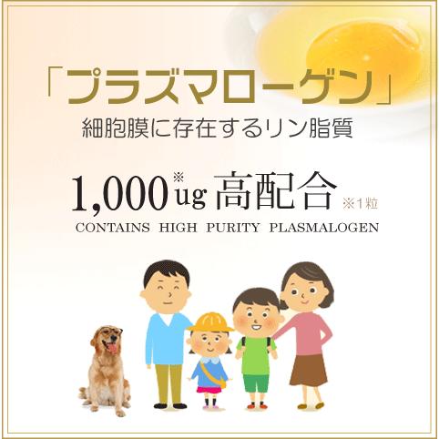 PQQ＋プラズマローゲン ２袋セット 日本製 無添加 PQQ プラズマローゲン GABA DHA EPA イチョウ葉 サプリ