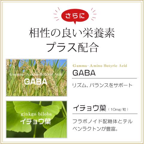 PQQ＋プラズマローゲン ２袋セット 日本製 無添加 PQQ プラズマローゲン GABA DHA EPA イチョウ葉 サプリ