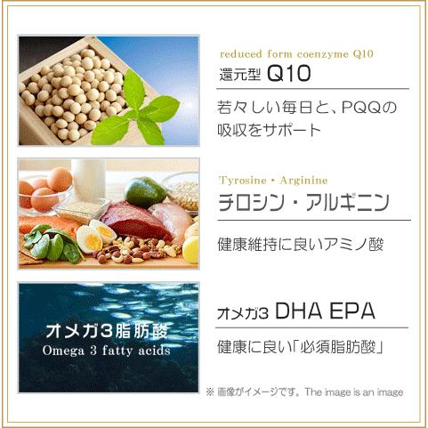 PQQ＋プラズマローゲン ２袋セット 日本製 無添加 PQQ プラズマローゲン GABA DHA EPA イチョウ葉 サプリ