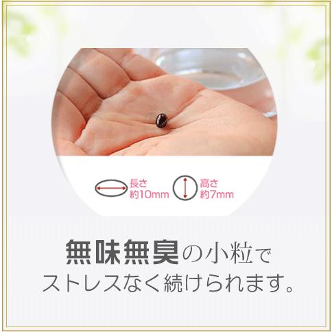 PQQ＋プラズマローゲン ２袋セット 日本製 無添加 PQQ プラズマローゲン GABA DHA EPA イチョウ葉 サプリ
