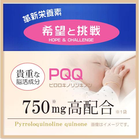 Alphay PQQ+プラズマローゲン+NMN 5袋+1袋付 日本製 無添加 Alphay PQQ+プラズマローゲン+NMN 5袋+1袋付 日本製 無添加