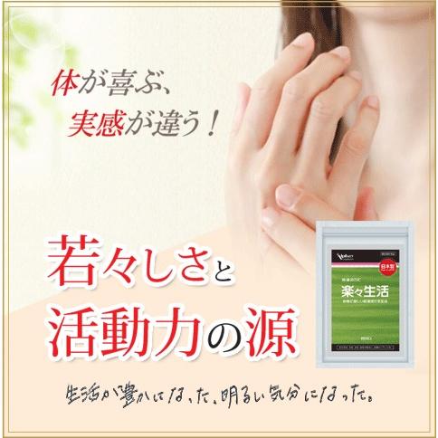 Alphay 指・関節 エクオール 10mg配合 大痛取 筋骨草 田七人参