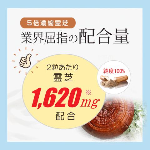 霊芝 3本セット 半年分 国際キノコ協会推薦 霊芝の最高峰 国際博覧会 
