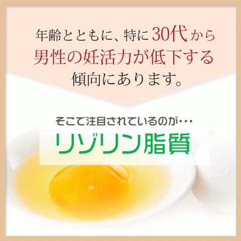 1170円 在庫一掃 男性の妊活 60粒30日分 精子を増やす男性妊活サプリ 無添加
