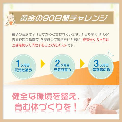 1170円 在庫一掃 男性の妊活 60粒30日分 精子を増やす男性妊活サプリ 無添加