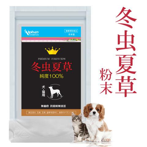今季一番 冬虫夏草粉末 30g 犬 猫用サプリメント 無添加 無農薬 免疫力