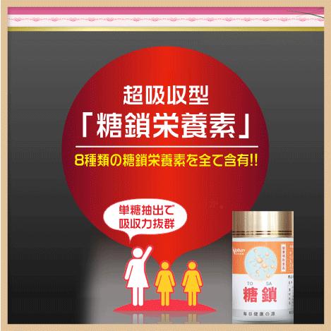 糖鎖 2本セット(10%OFF) 8種類の単糖全て含有！ : tosa-020 : 健康 