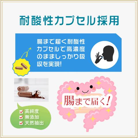 Alphay 糖鎖栄養素 お徳用3本セット 8種類の単糖全て含有！ : 健康 