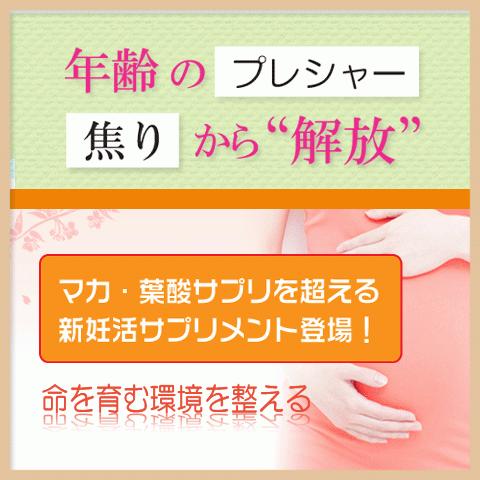 卵子の質 卵子の老化 妊娠力アップ お徳用３本セット(20%OFF! )｜alphay3939｜06