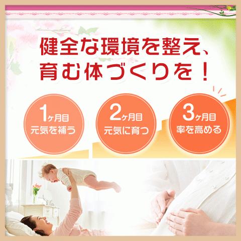 Alphay 妊活 サプリメント 男性の妊活 3本セット (20%OFF) 育精サプリ