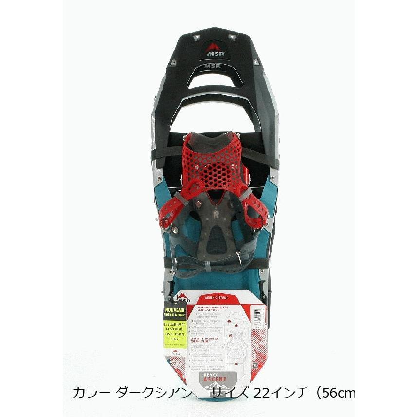 MSR エムエスアール（MSR） REVOアッセント 女性用 カラー