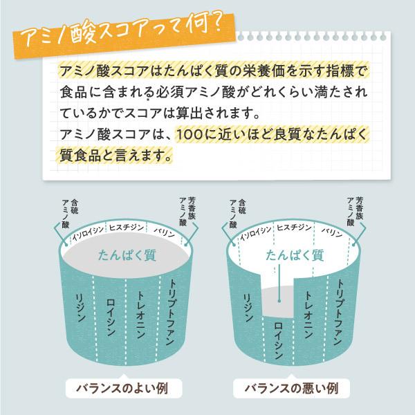 プロテイン ホエイ ソイ 750g 2in1 リッチチョコレート ホエイプロテイン ソイプロテイン WPC アルプロン 大豆 アミノ酸 ダイエット アスパルテーム不使用｜alpron｜13