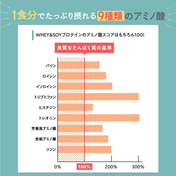 プロテイン ホエイ ソイ 750g 2in1 リッチチョコレート ホエイプロテイン ソイプロテイン WPC アルプロン 大豆 アミノ酸 ダイエット アスパルテーム不使用｜alpron｜14