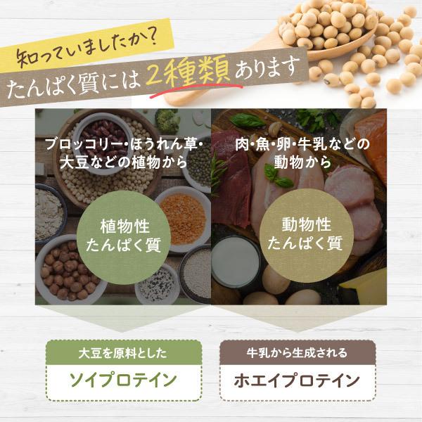 プロテイン ホエイ ソイ 750g 2in1 リッチチョコレート ホエイプロテイン ソイプロテイン WPC アルプロン 大豆 アミノ酸 ダイエット アスパルテーム不使用｜alpron｜08