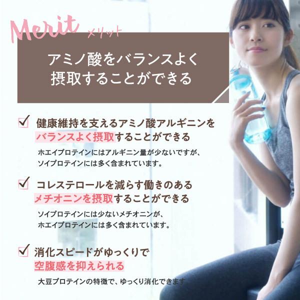 プロテイン  2袋セット THE PROTEIN プロテイン トライアルセット 30g 全フレーバー