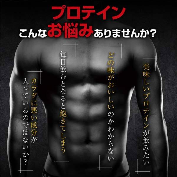 【15％クーポン】プロテイン ホエイプロテイン 3kg WPC 選べるフレーバー アルプロン 公式 ホエイ アミノ酸 ダイエット 女性 男性｜alpron｜03