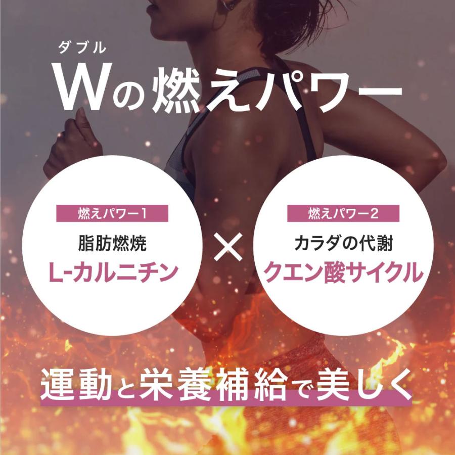 アルプロン ダイエット サポート サプリ サプリメント 燃え燃え