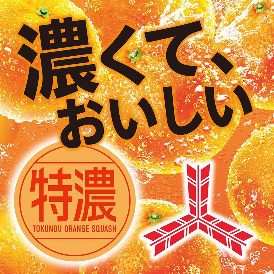 三ツ矢 アサヒ 特濃 炭酸飲料 PET 500ml 選べる2ケースセット 48本