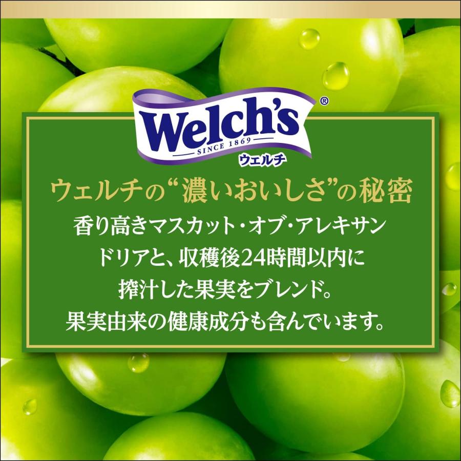 カルピス Welch's ウェルチ マスカットブレンド100 800g x 16本 ( 8本 x 2ケース ) 送料無料｜als-inc｜02