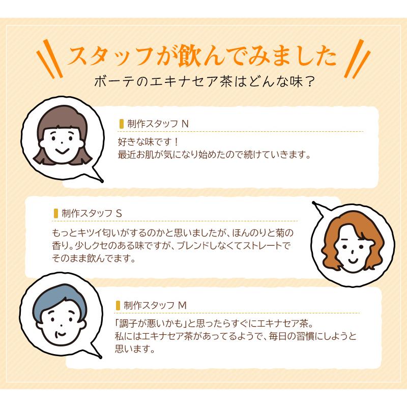 エキナセア茶 |  | 12