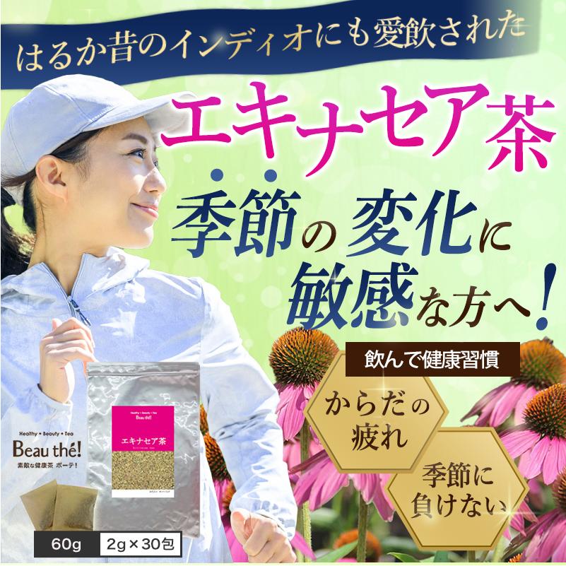 エキナセア茶 |  | 01