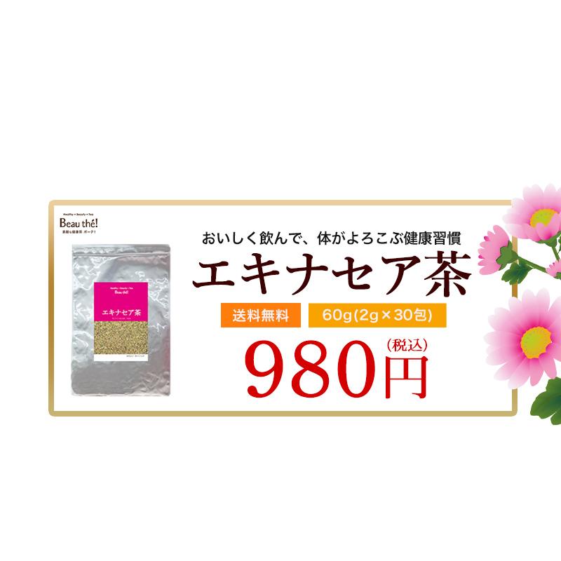 エキナセア茶 |  | 03