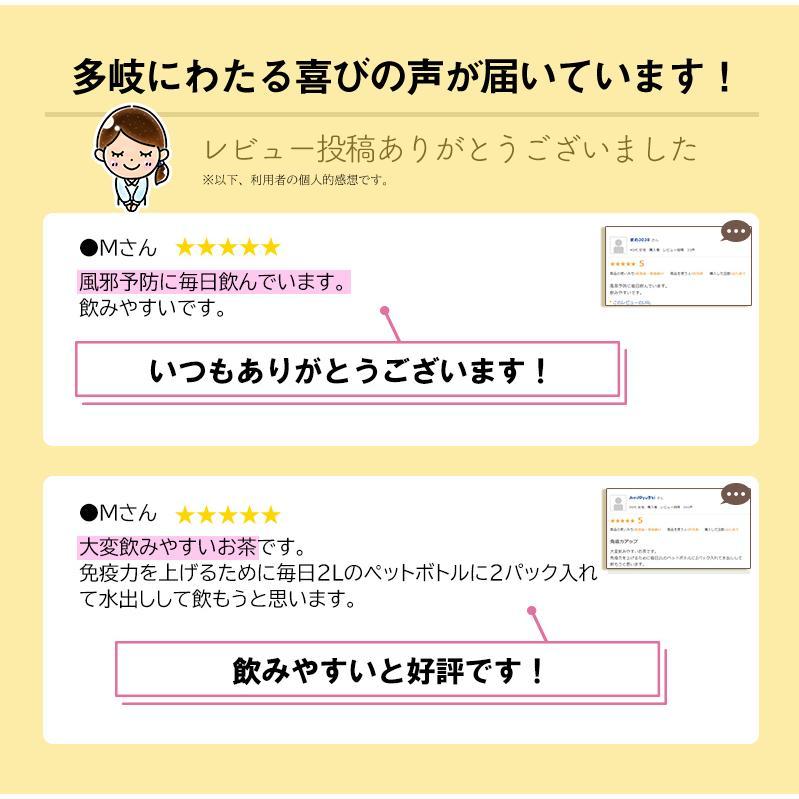 エキナセア茶 |  | 10