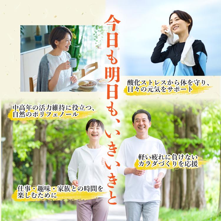 キンミズヒキ茶　1袋　3g×30包　ティーバッグ　ノンカフェイン　金水引　仙鶴草　【DM便送料無料】 |  | 05