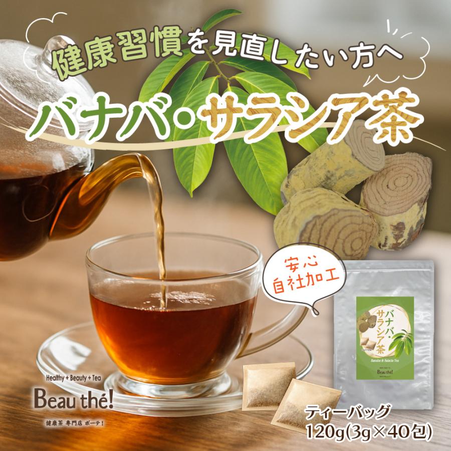 バナバ・サラシア茶　1袋　3ｇ×40包　ティーバッグ　ノンカフェイン　【DM便・送料無料】 | 