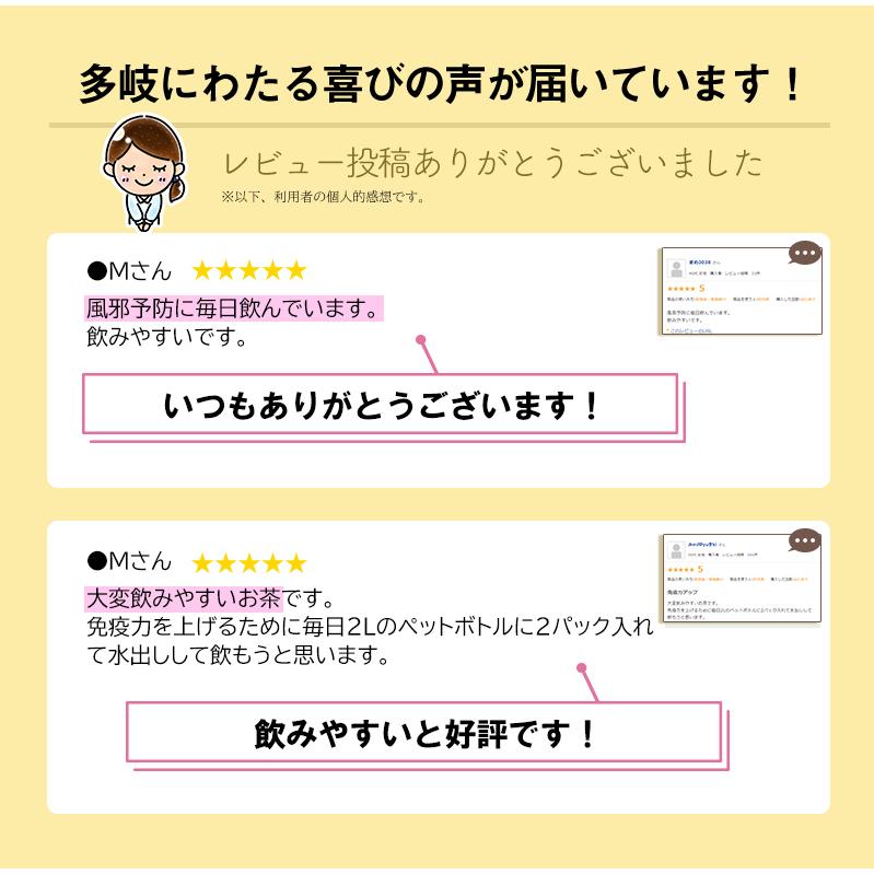 エキナセア茶　3袋セット　60ｇ( 2g×30包)×3袋【送料無料】 |  | 10