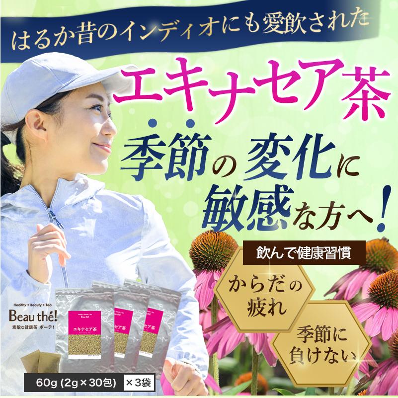 エキナセア茶　3袋セット　60ｇ( 2g×30包)×3袋【送料無料】 |  | 01