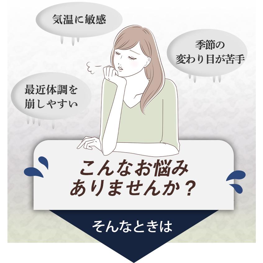 エキナセア茶　3袋セット　60ｇ( 2g×30包)×3袋【送料無料】 |  | 02