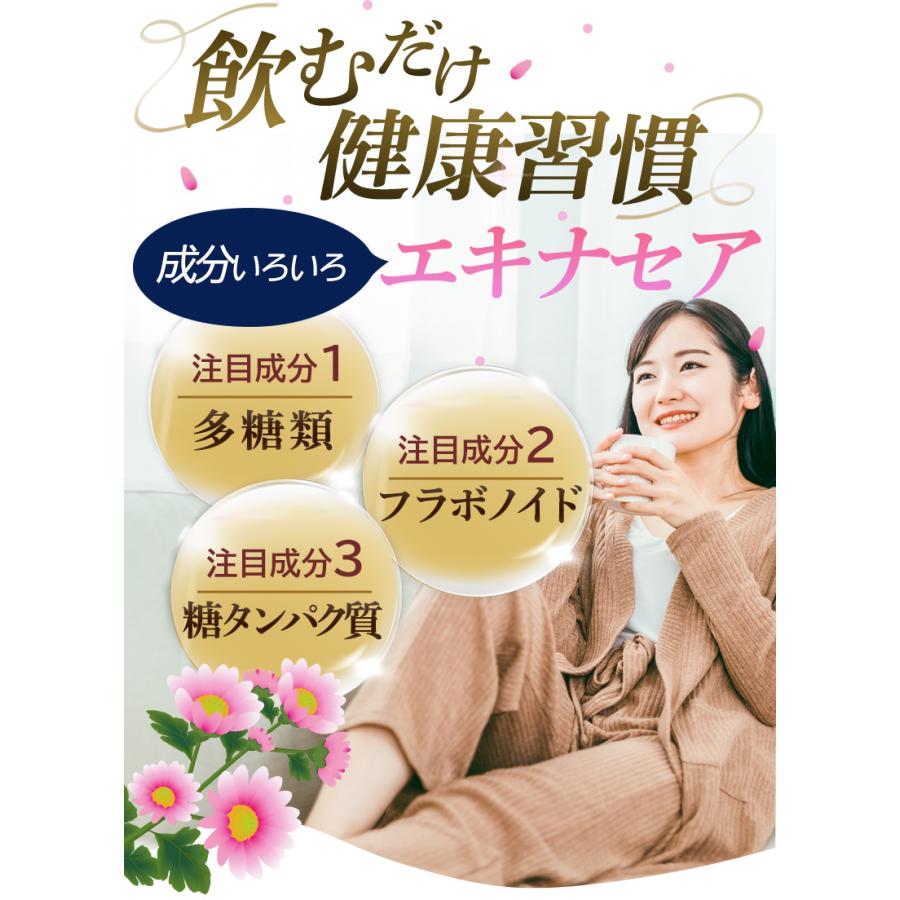 エキナセア茶　3袋セット　60ｇ( 2g×30包)×3袋【送料無料】 |  | 03
