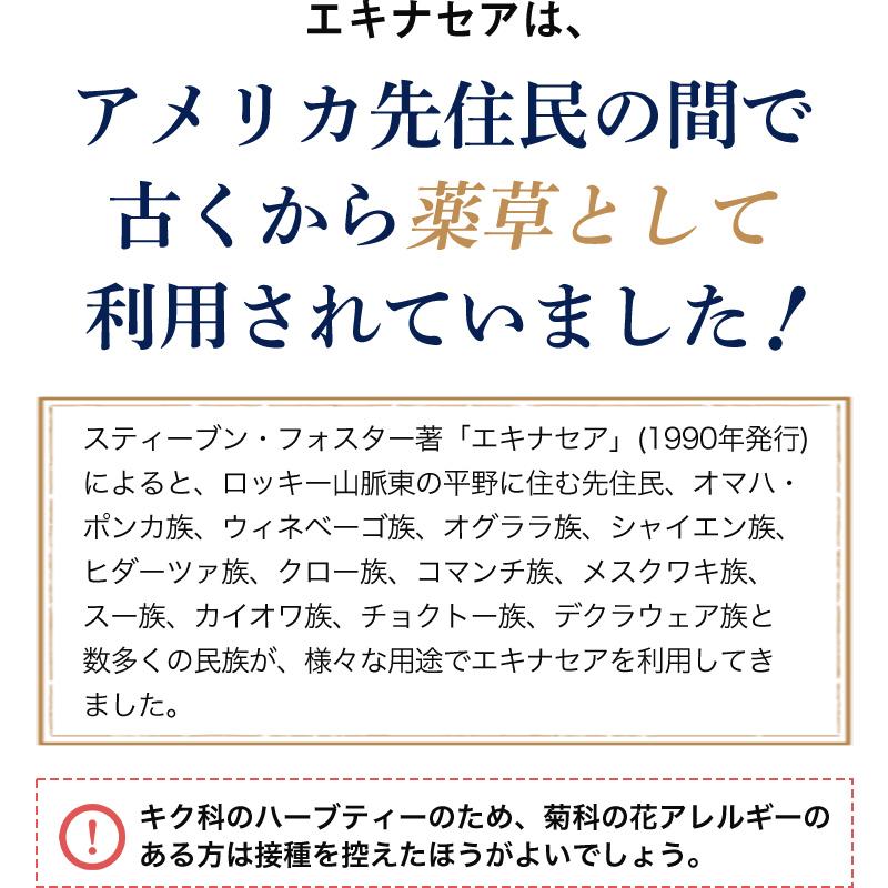 エキナセア茶　3袋セット　60ｇ( 2g×30包)×3袋【送料無料】 |  | 04