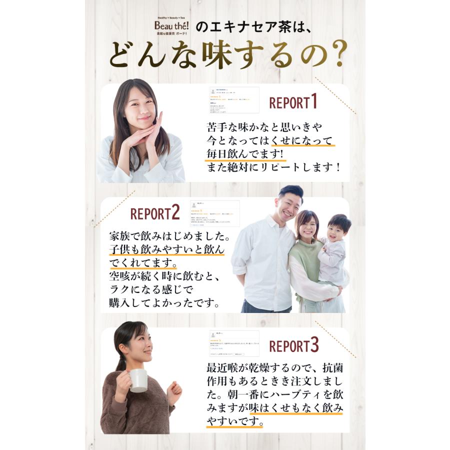 エキナセア茶　3袋セット　60ｇ( 2g×30包)×3袋【送料無料】 |  | 08