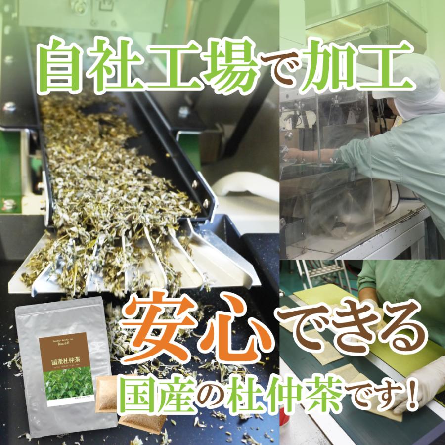 国産 杜仲茶 3袋セット 無農薬 ティーバッグ |  | 09