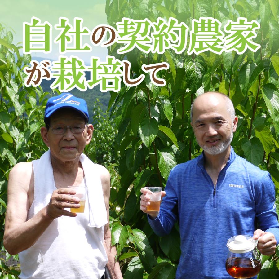国産 杜仲茶 3袋セット 無農薬 ティーバッグ |  | 08